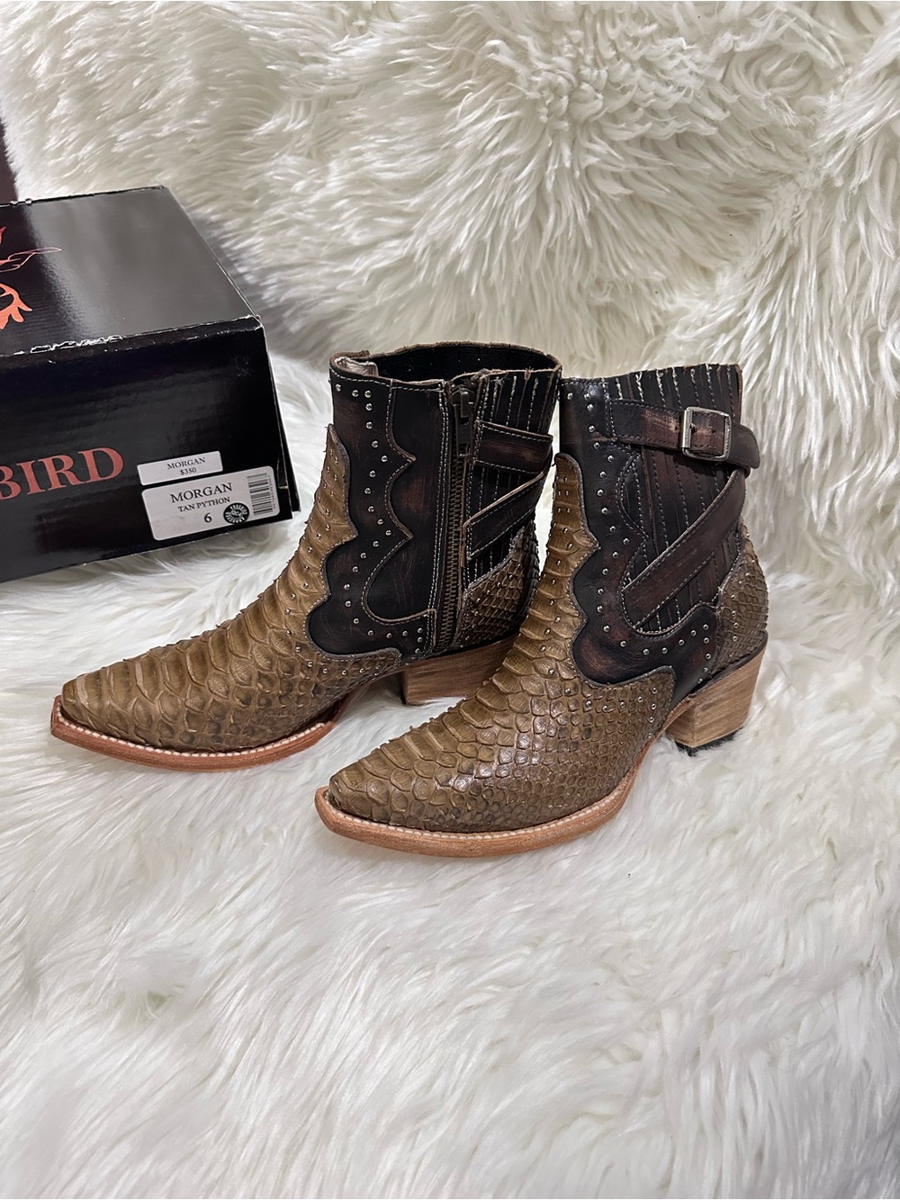 Freebird Morgan Tan Python - Picture 2 of 4